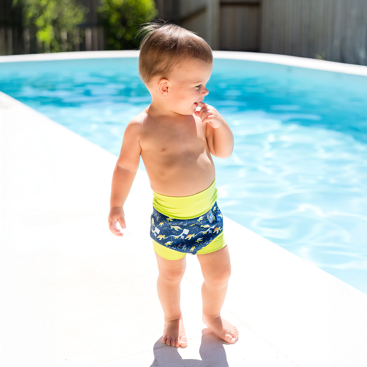 Happy Nappy™ Turtle Tide