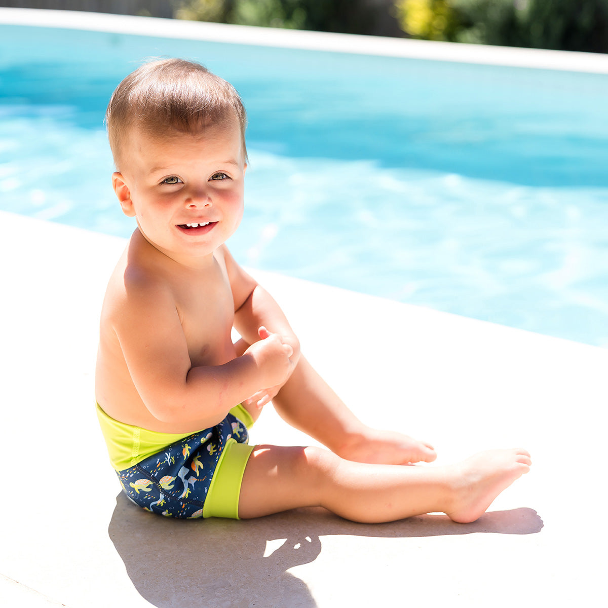 Happy Nappy™ Turtle Tide