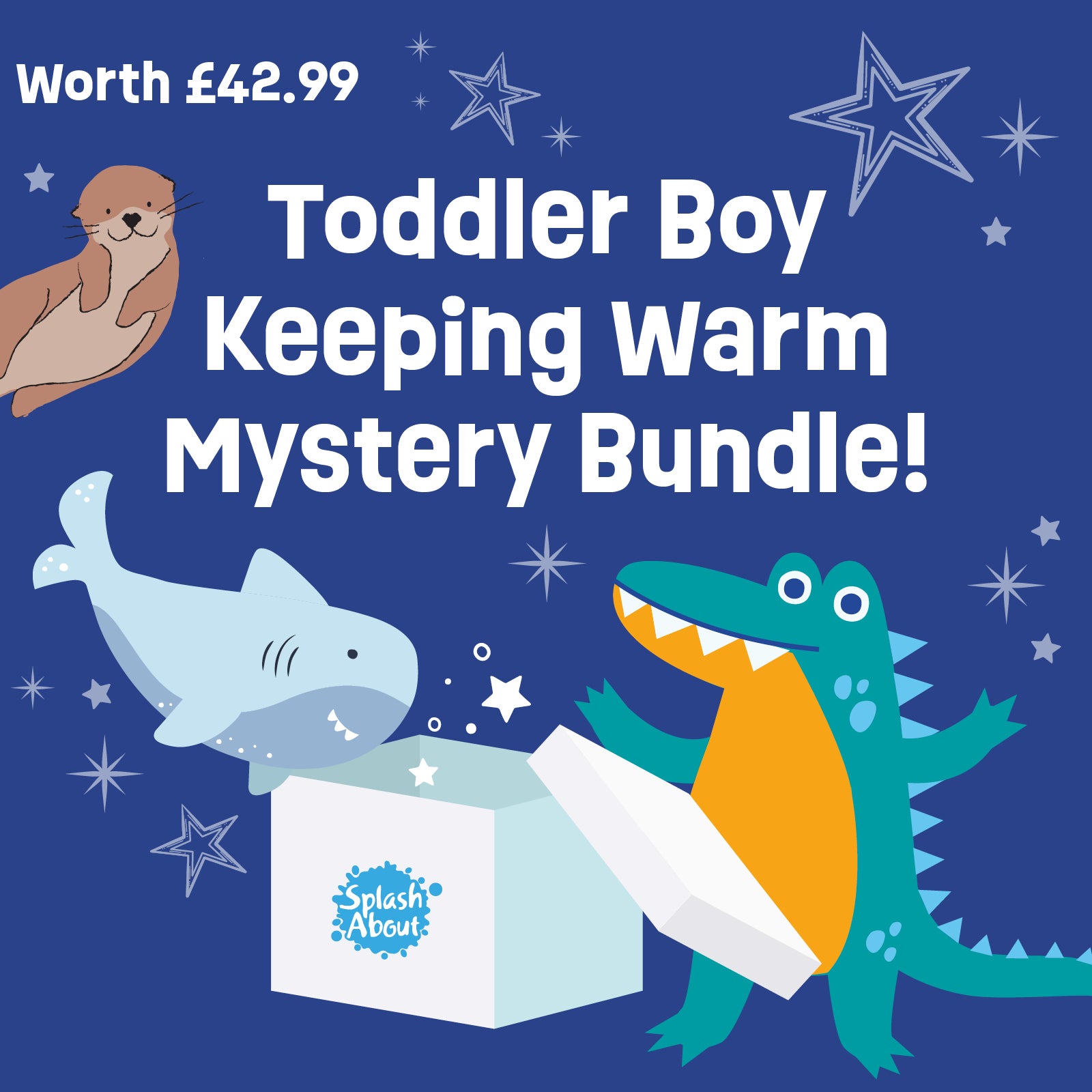 Mystery Bundle - Toddler Boys Bundle