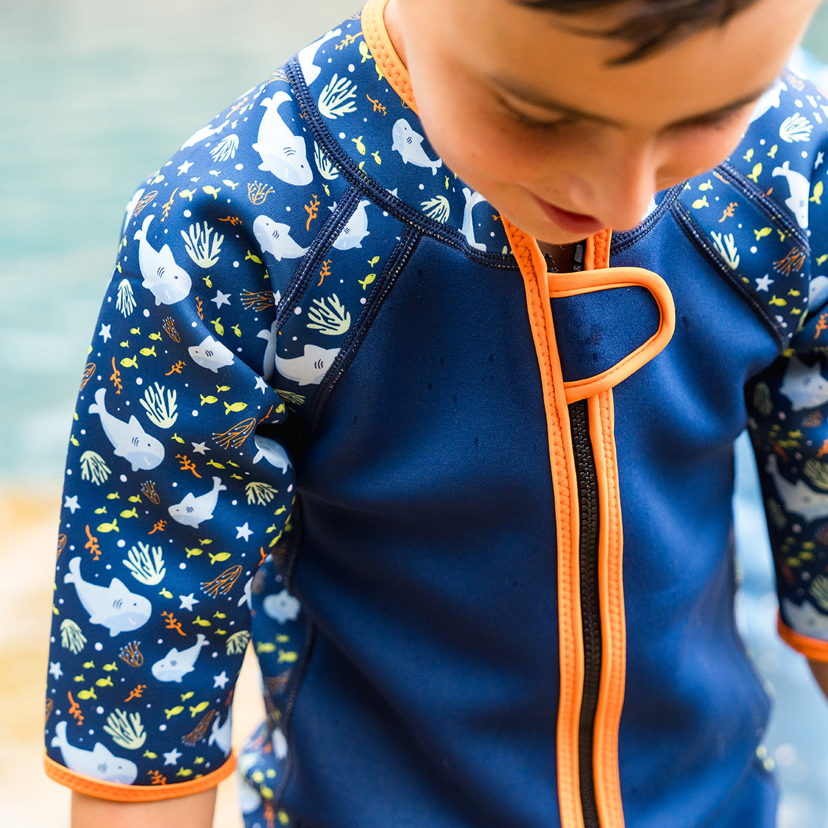 Shorty Wetsuit Shark Reef