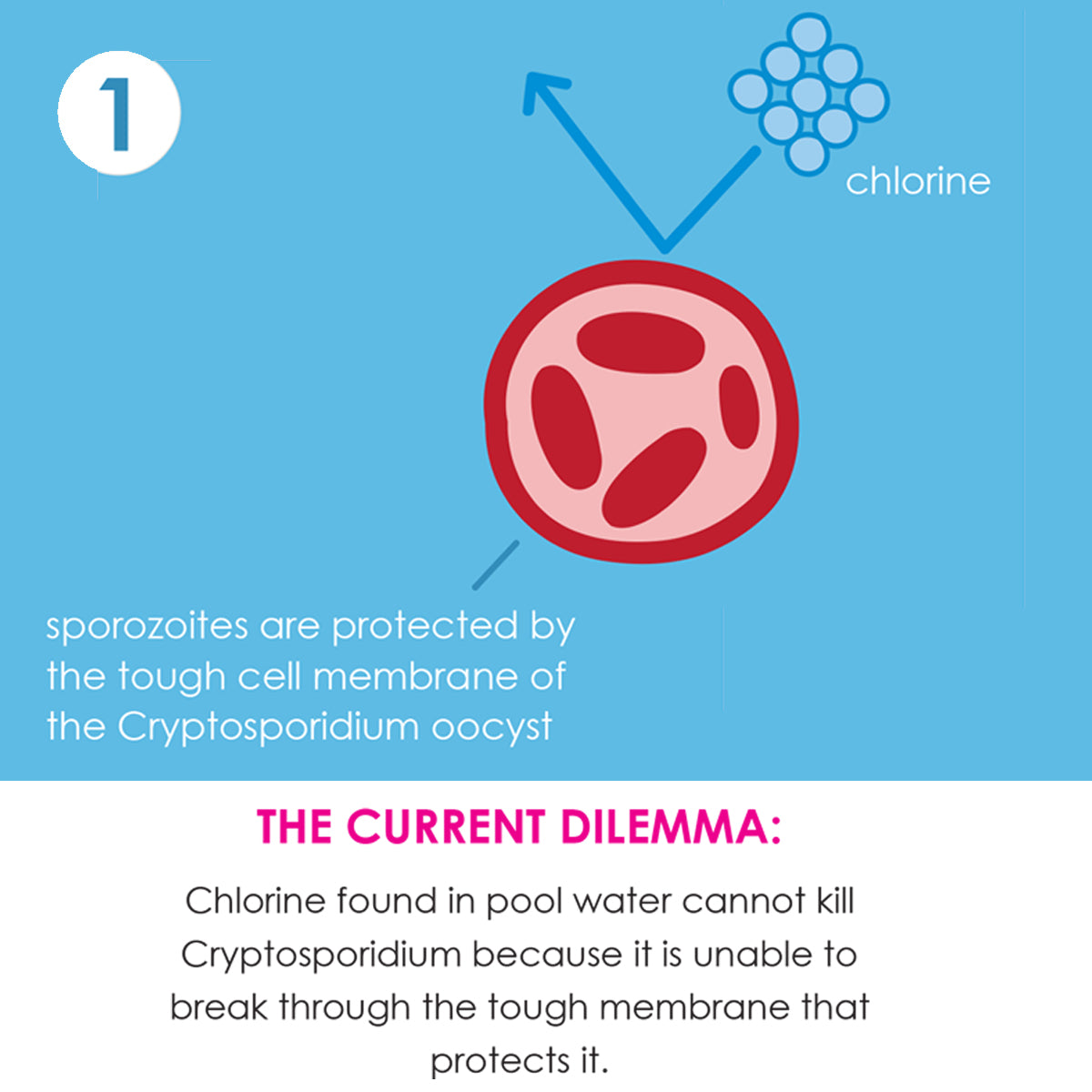 Happy Nappy Duo™ Navy Yellow