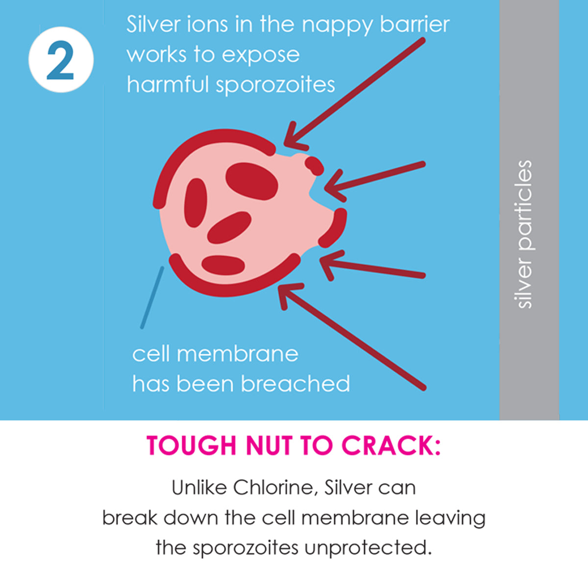 Happy Nappy Duo™ Tug Boats