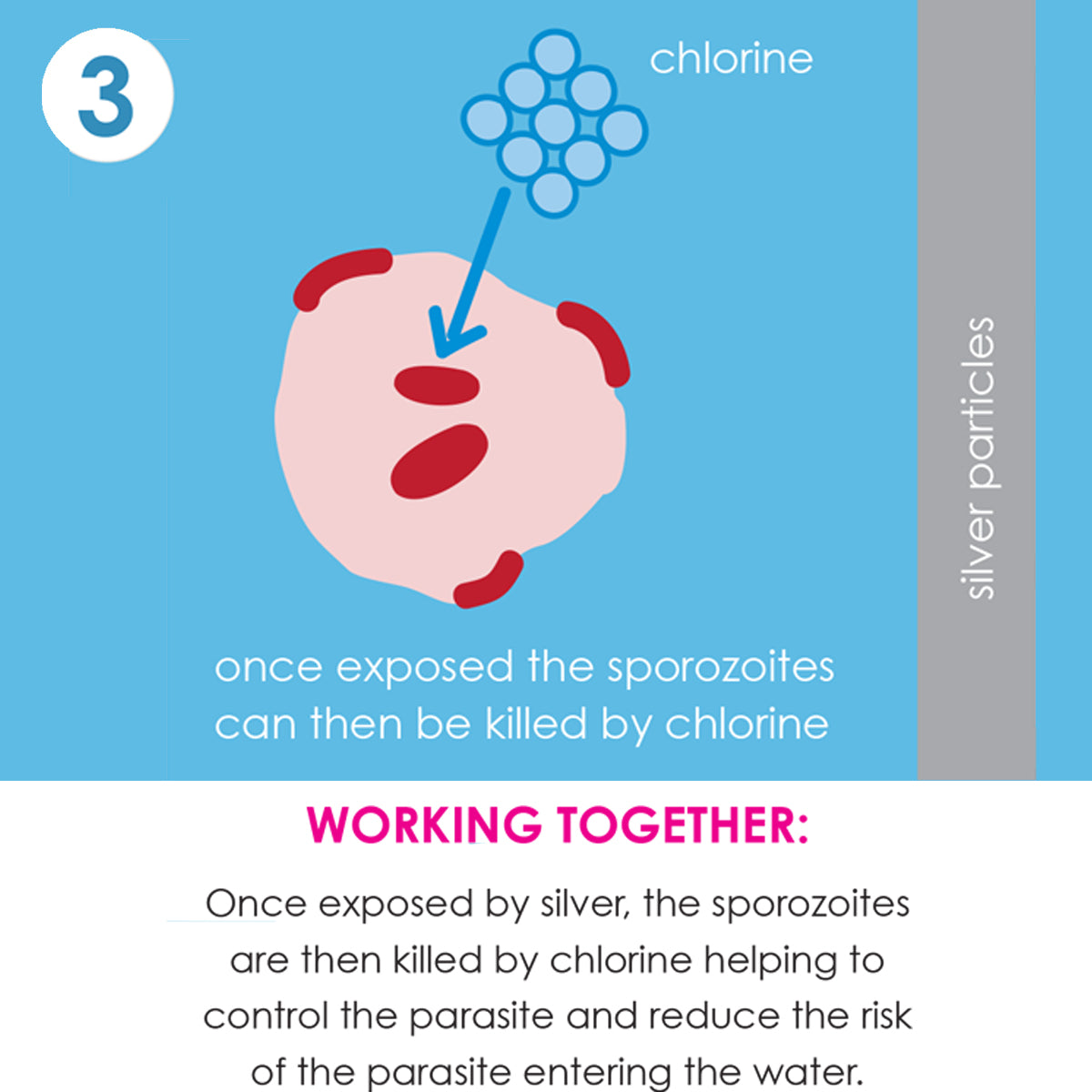 Happy Nappy Duo™ Navy Yellow