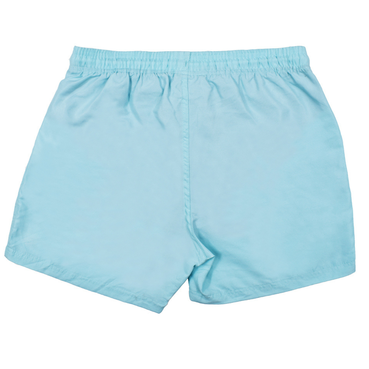 Mens Swim Shorts Aruba Blue