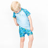 Splash Jammers Crocodile Swamp